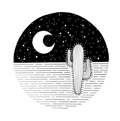Cactus-by-night