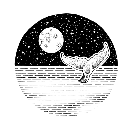 Full-moon-whale