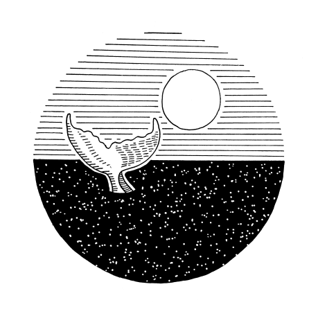 Whale-tail-sun