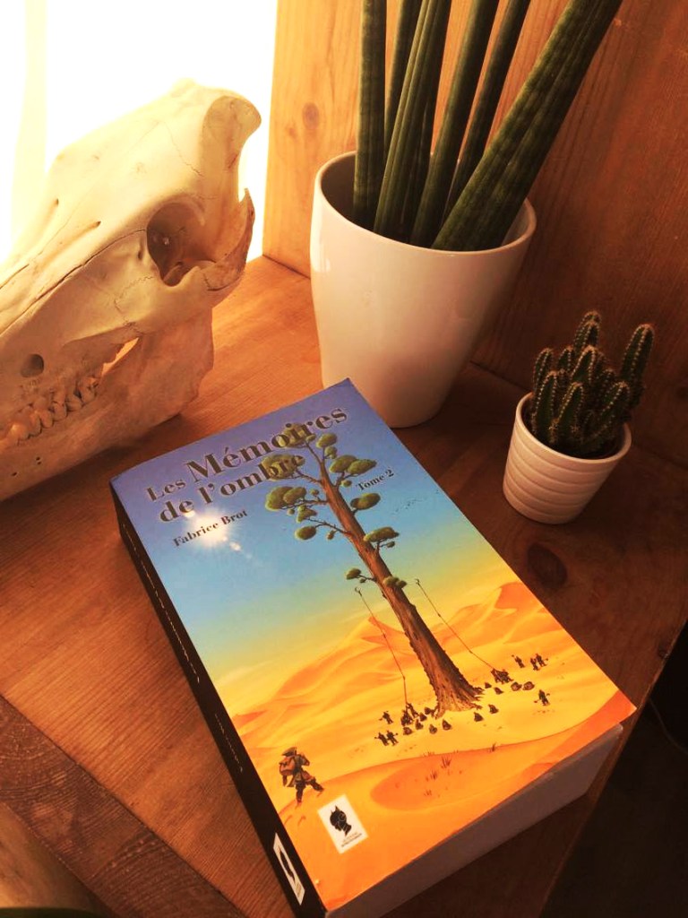 les-memoires-de-lombre-tome2-fabrice-brot-emilymesli
