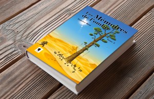 mockup-livre-emy