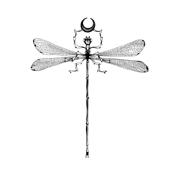 dragonfly-lunar